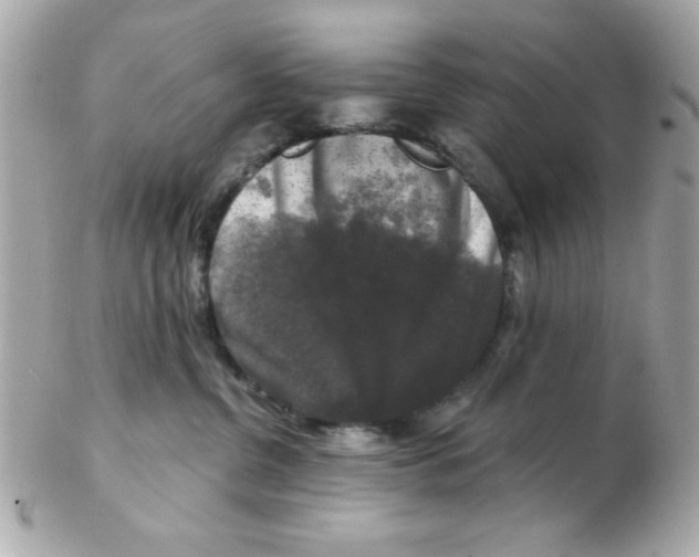 X0000102540380200808291847