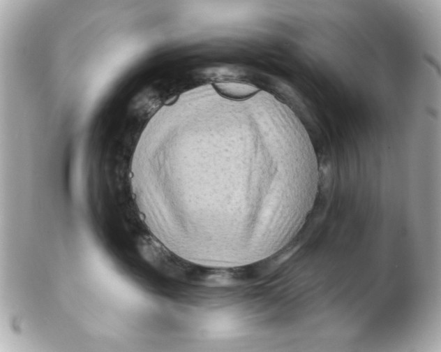 X0000102540381200808291847