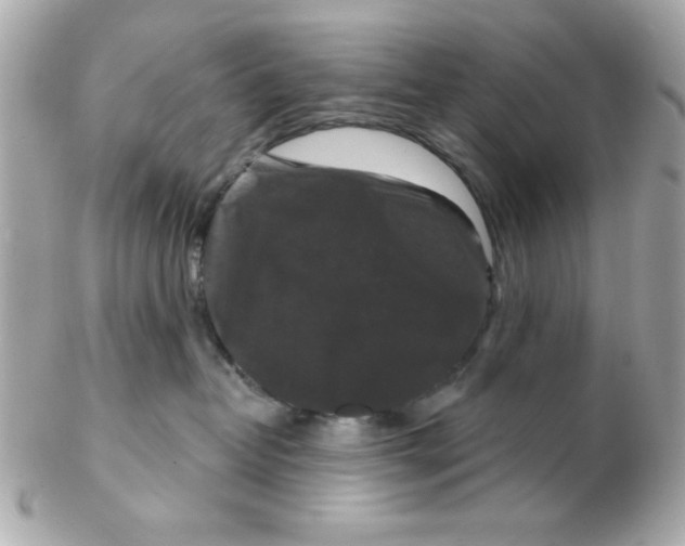 X0000102540382200808291847