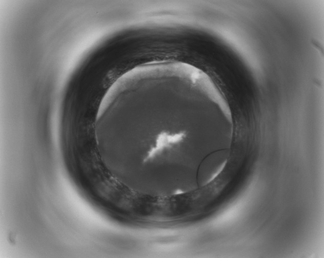 X0000102540383200808291847