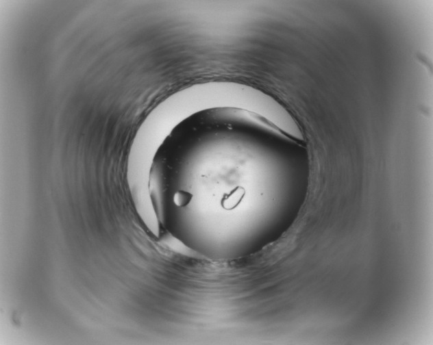 X0000102540384200808291847