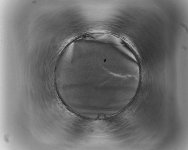 X0000102540385200808291847