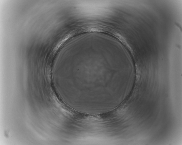 X0000102540386200808291847