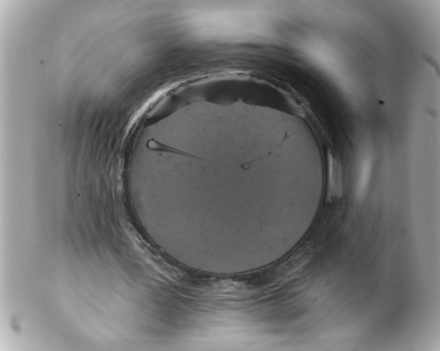 X0000102540387200808291847