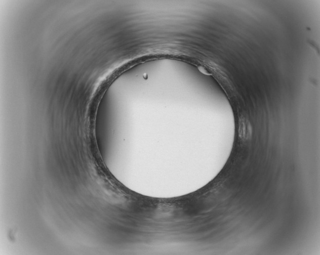 X0000102540388200808291847