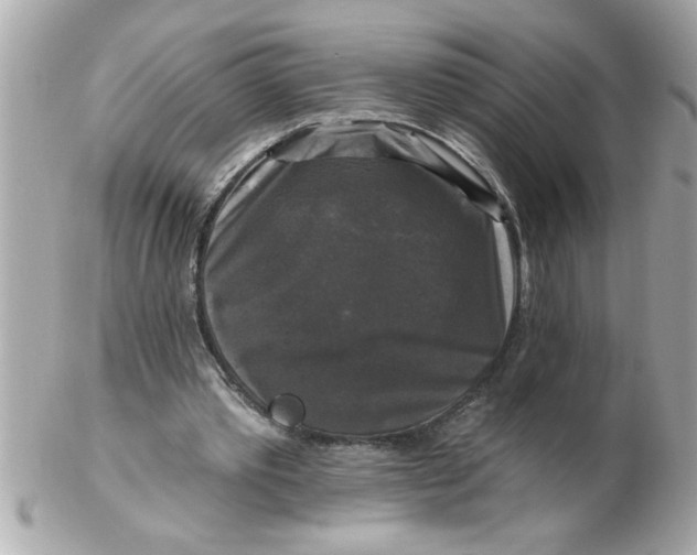 X0000102540389200808291847