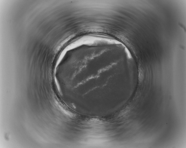 X0000102540390200808291847