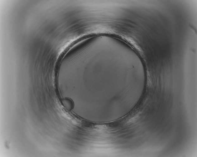 X0000102540391200808291847