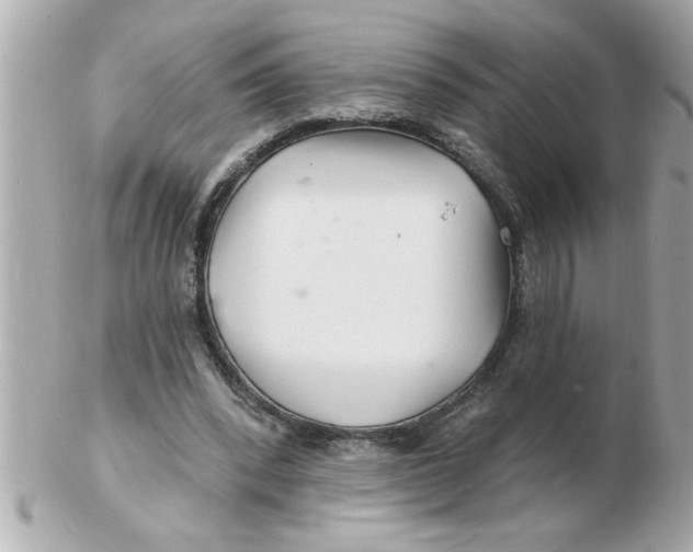 X0000102540392200808291847