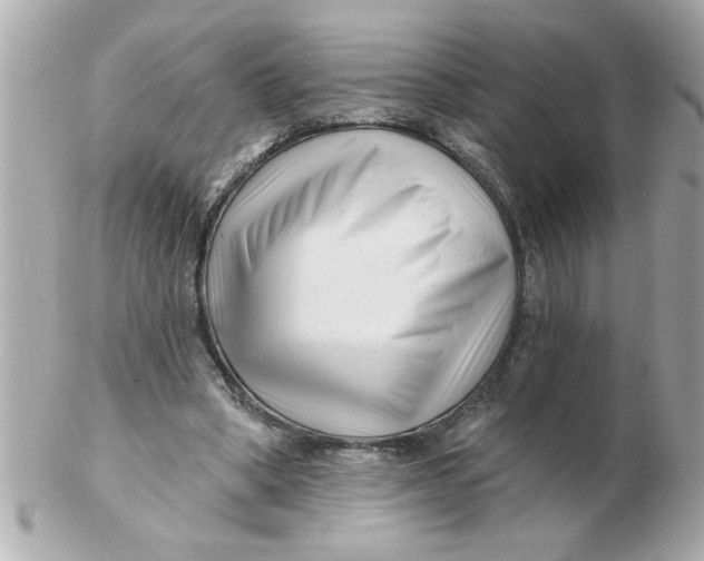 X0000102540394200808291847