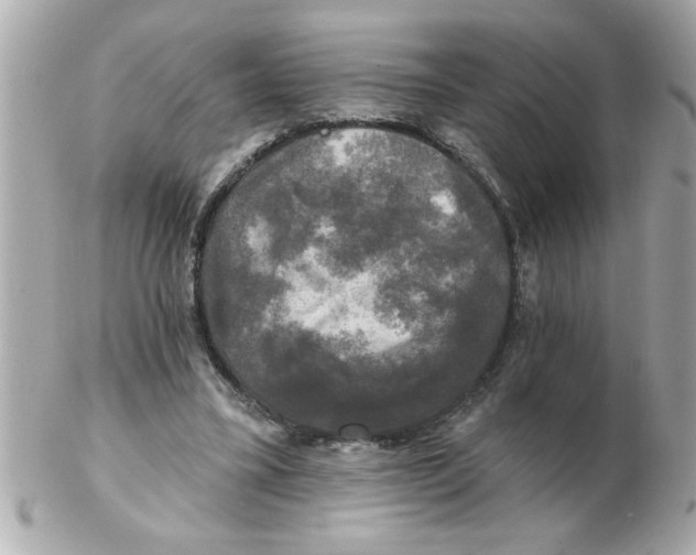 X0000102540395200808291847