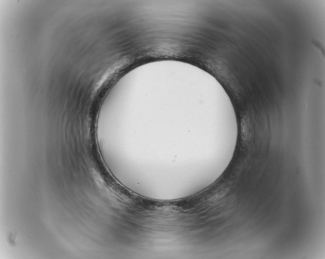 X0000102540396200808291847