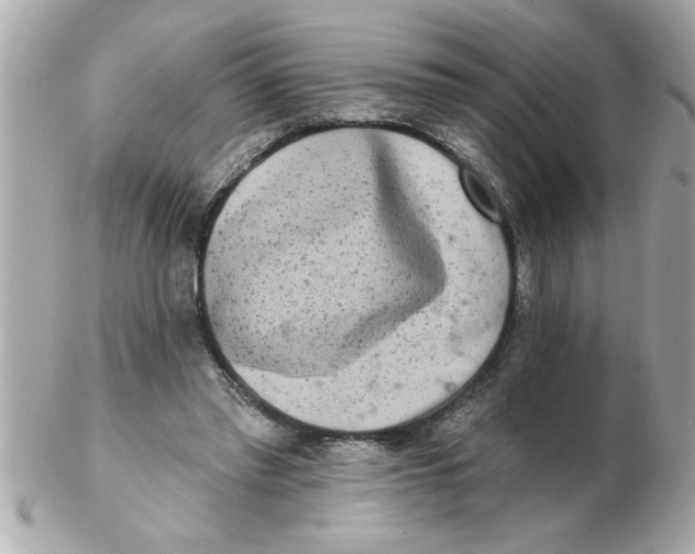 X0000102540397200808291847