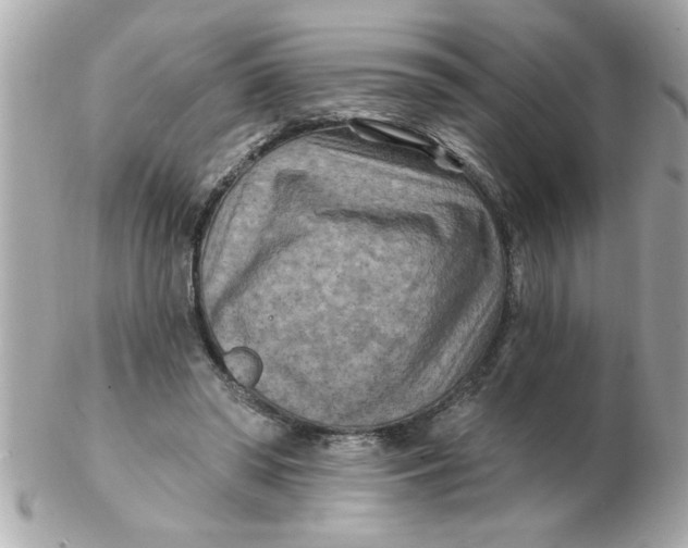 X0000102540398200808291847