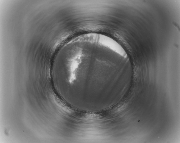 X0000102540399200808291846