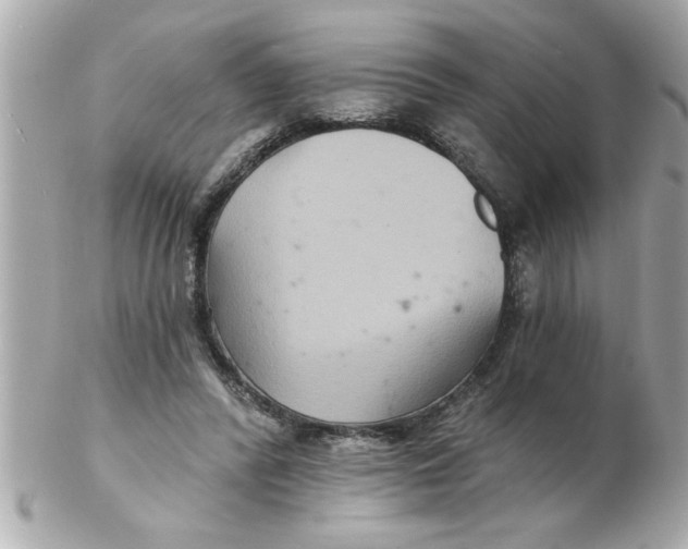 X0000102540400200808291846