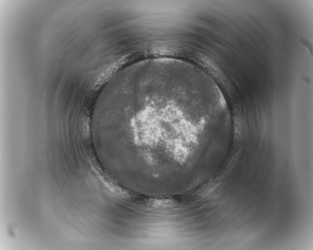 X0000102540401200808291846