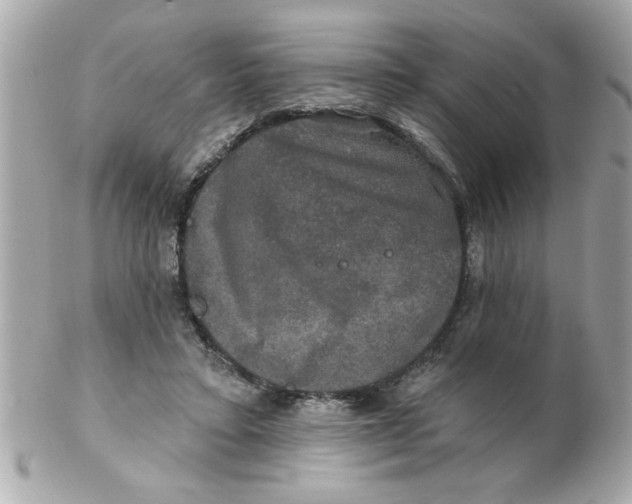 X0000102540403200808291846