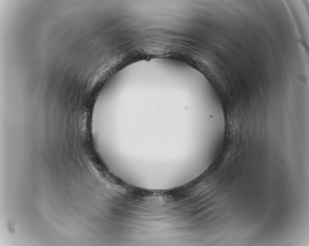 X0000102540404200808291846