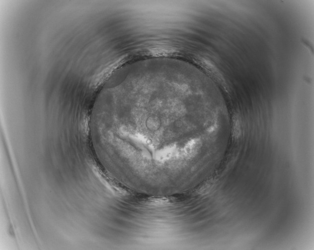 X0000102540405200808291846