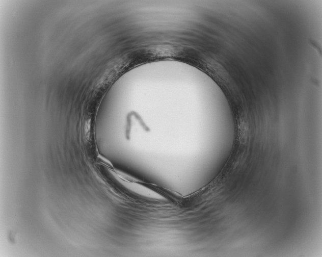 X0000102540406200808291846