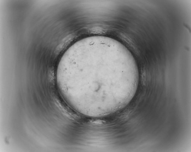 X0000102540407200808291846