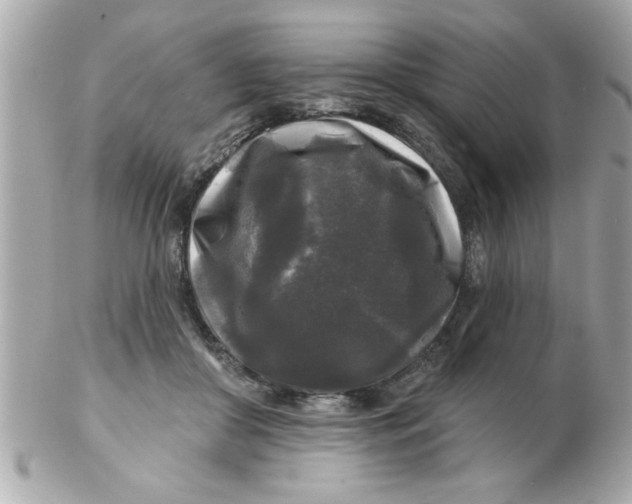 X0000102540410200808291846