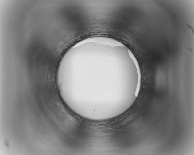 X0000102540411200808291846