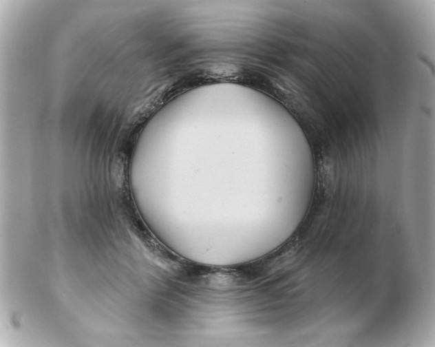 X0000102540412200808291846