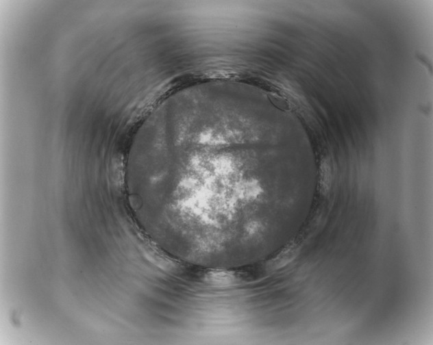 X0000102540413200808291846