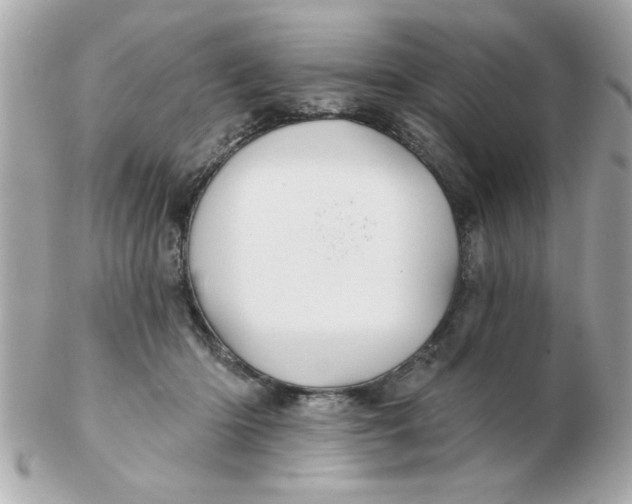 X0000102540414200808291846