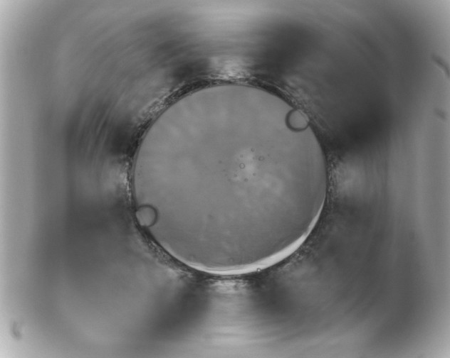 X0000102540415200808291846