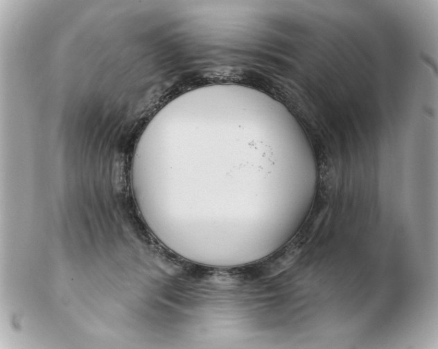 X0000102540416200808291846