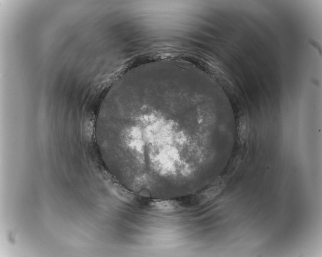 X0000102540417200808291846