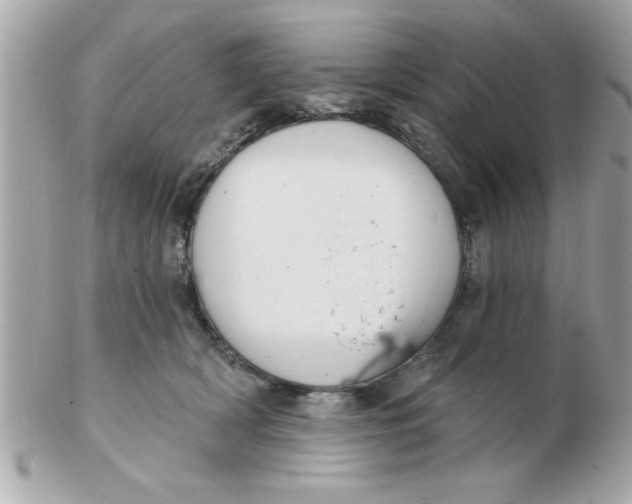 X0000102540418200808291846