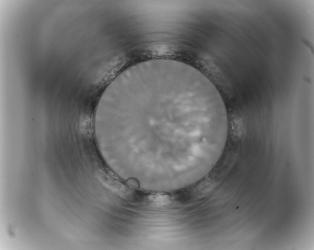 X0000102540419200808291846