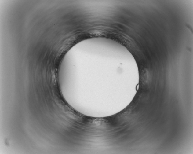 X0000102540420200808291846