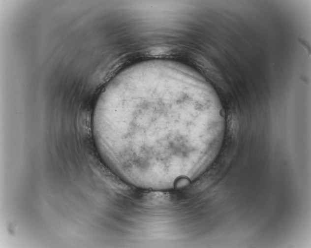 X0000102540421200808291846