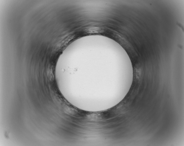 X0000102540422200808291846