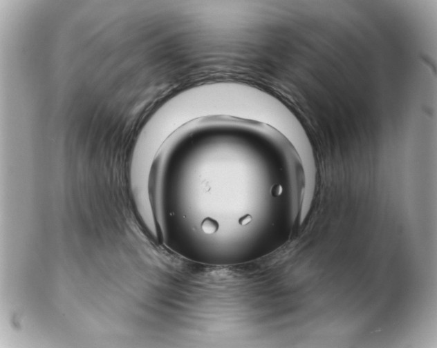 X0000102540423200808291846