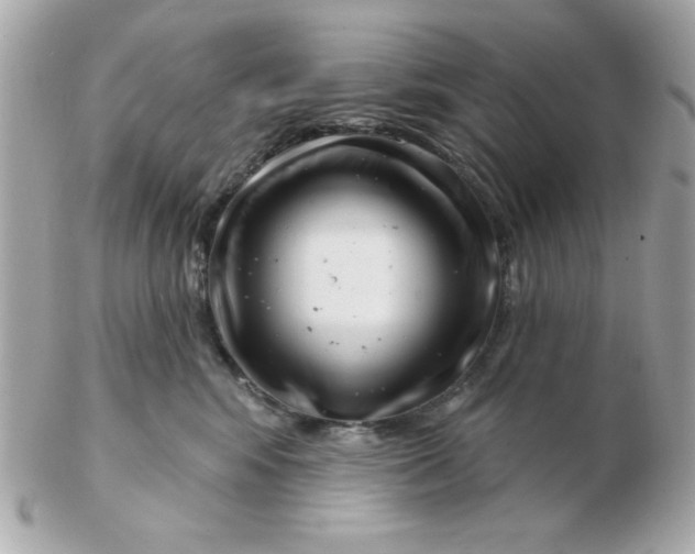 X0000102540424200808291846