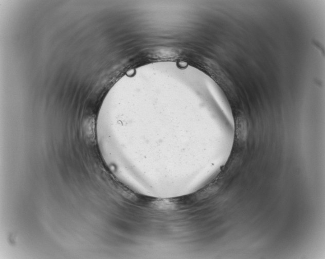 X0000102540425200808291846