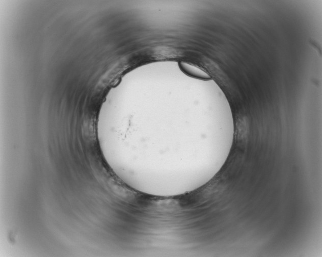 X0000102540426200808291846