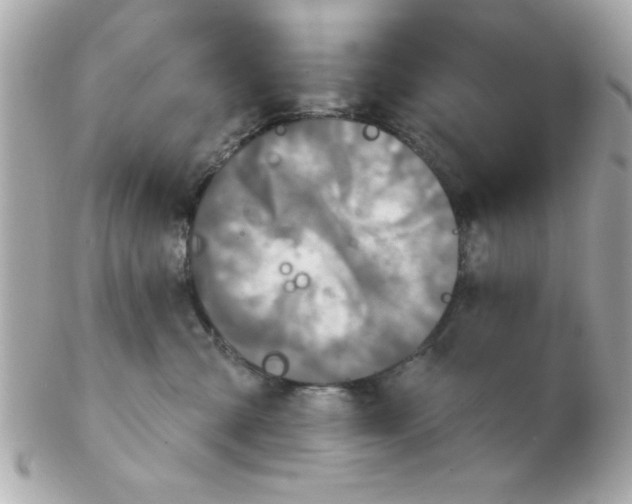 X0000102540427200808291846