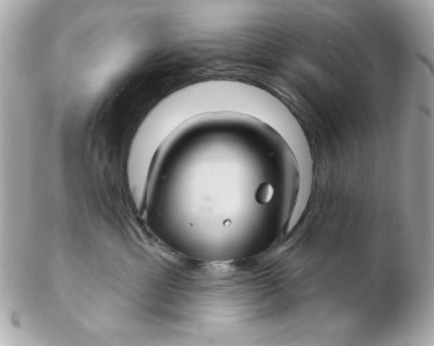 X0000102540429200808291846