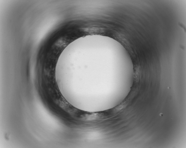 X0000102540430200808291846