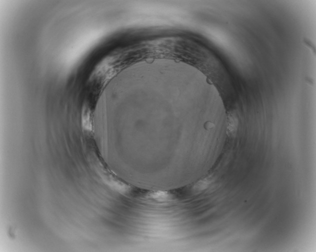 X0000102540431200808291846