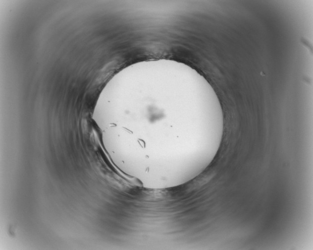 X0000102540432200808291846