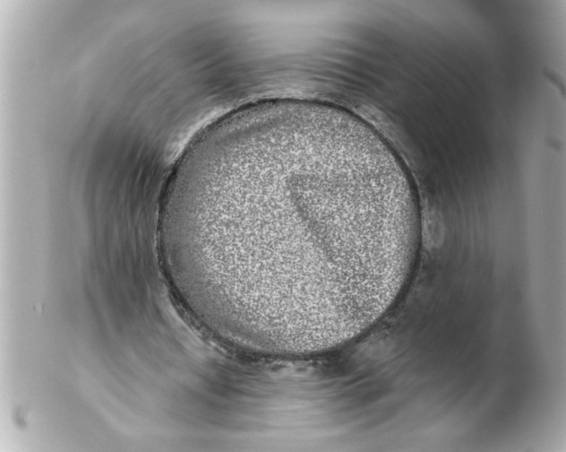 X0000102540434200808291845