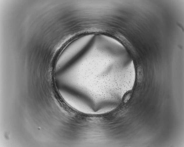 X0000102540436200808291845